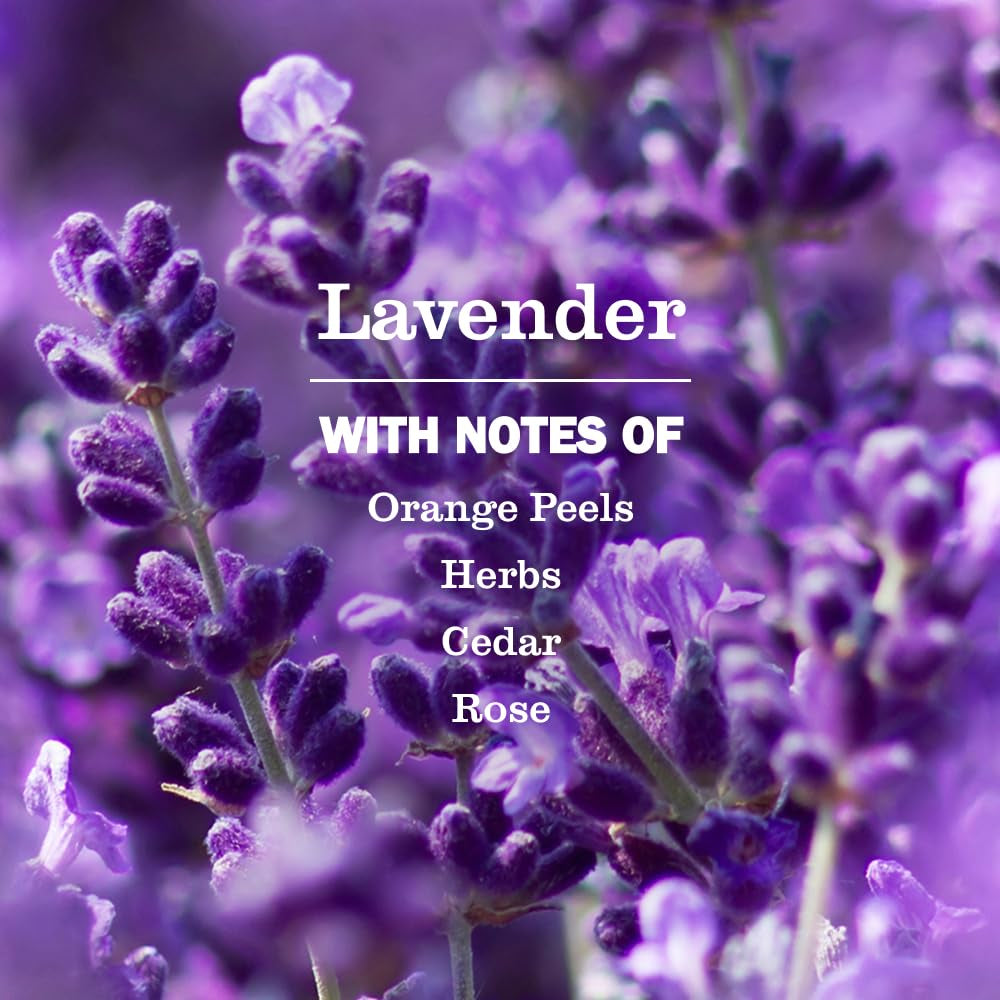 CLEAN DAY Hand Soap, Lavender Scent, 12.5 Fl Oz Bottle